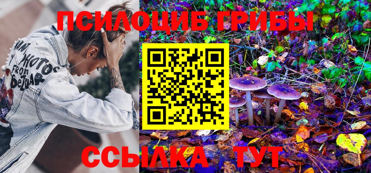 Псилоцибиновые грибы Psilocybine cubensis Чапаевск
