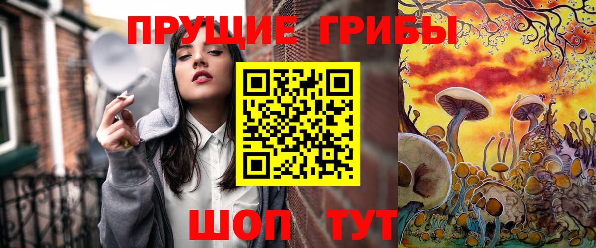 Чапаевск  Галлюциногенные грибы Cubensis  Вход с VPN 